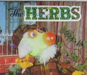 HERB Photo